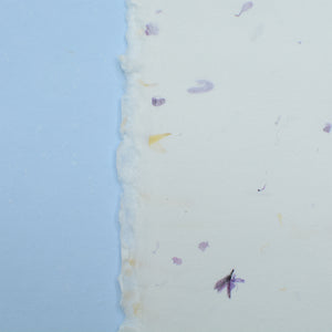Calendula & Blue Handmade Paper