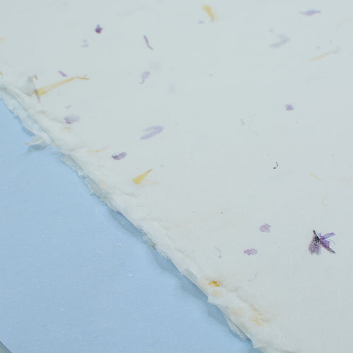 Calendula & Blue Handmade Paper