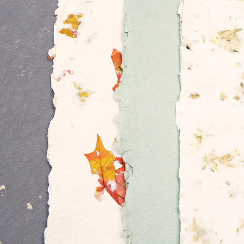 October Paper Pack 2: Chocolate and Olive