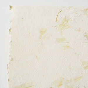 October Paper Pack 1: Mauve and Olive
