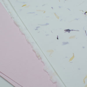 Calendula & Pink Handmade Paper