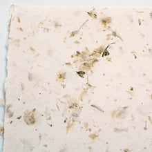 October Paper Pack 1: Mauve and Olive