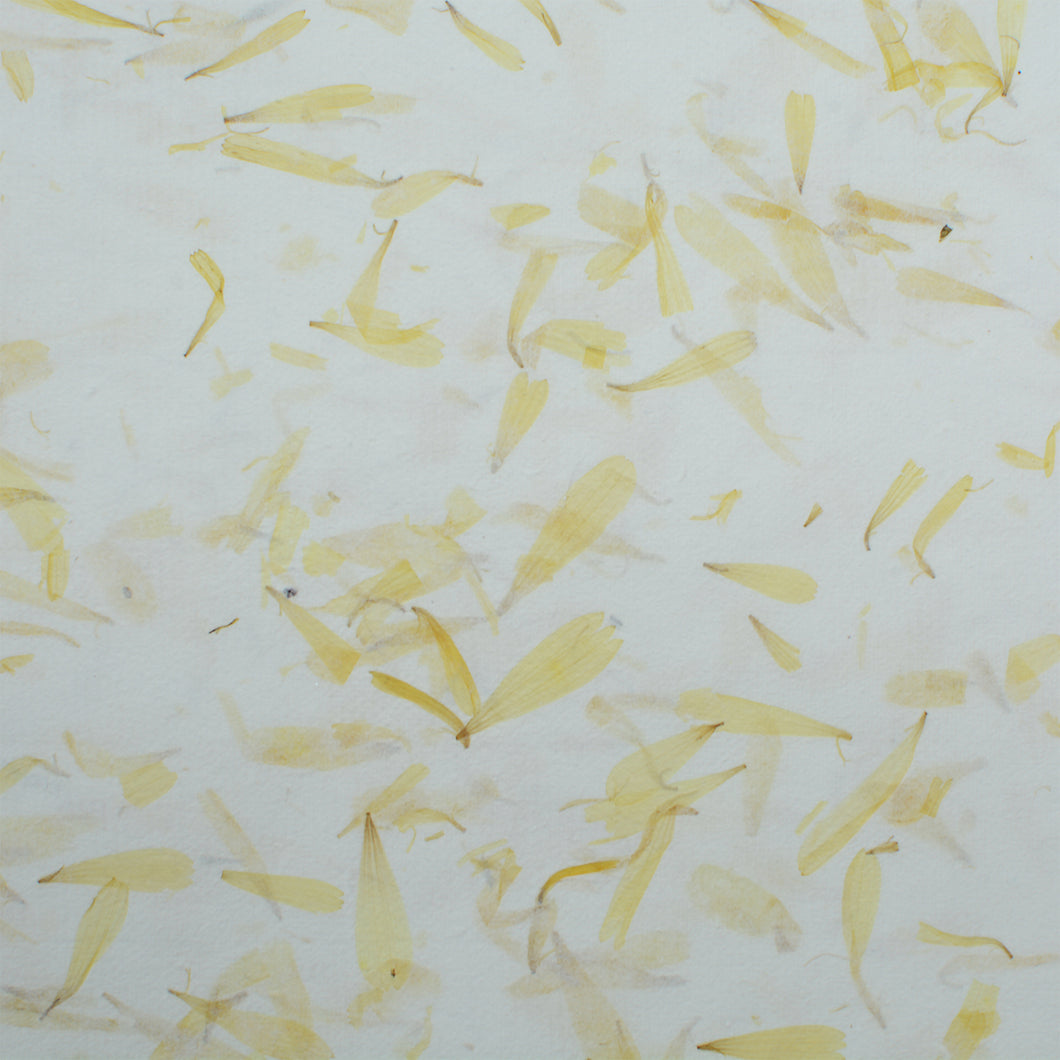 Yellow Calendula Handmade Paper