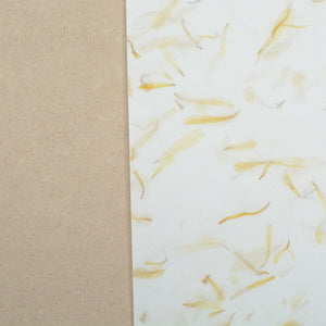 Calendula & Cinnamon Handmade Paper