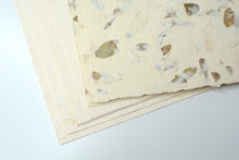 Handmade Paper Pack - Cream Floral and Small Leaf